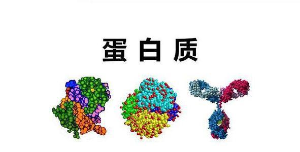 國大研究人員發(fā)現(xiàn)促進(jìn)化療耐藥的蛋白質(zhì)