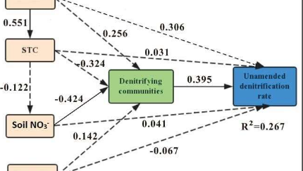 環(huán)境和微生物如何調(diào)節(jié)濕地的土壤生物地球化學過程