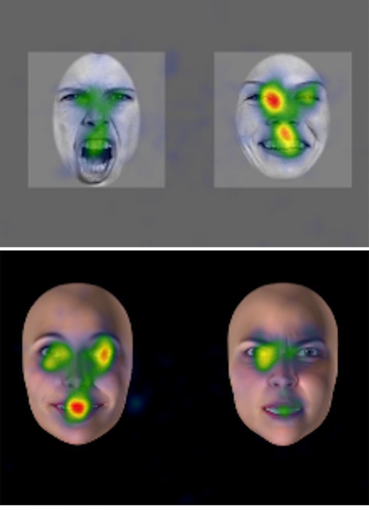 UNIGE的科學家追蹤了兒童的眼球運動