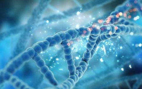 對(duì)microRNA功能的新見解可以促進(jìn)基因治療