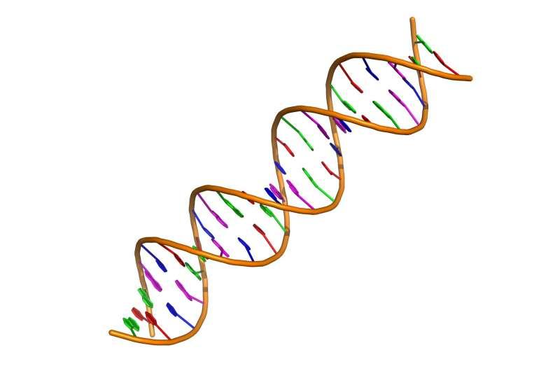 癌癥是由我們一生中細(xì)胞中積累的DNA錯(cuò)誤引起的