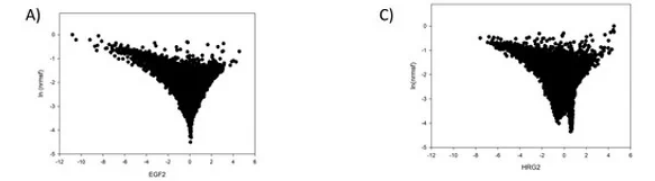 如何走向統(tǒng)一的 DNA 折疊理論