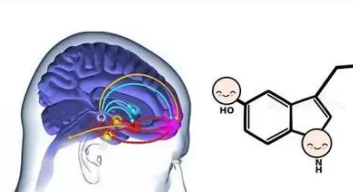 期望和多巴胺會(huì)影響 SSRI 治療的結(jié)果