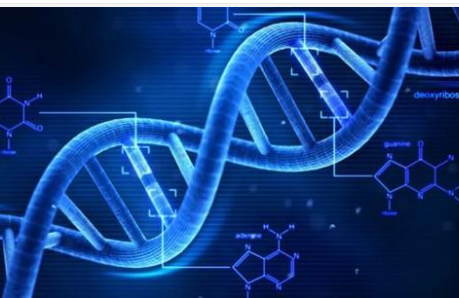 一種更快的密碼破解器可以分析人類 DNA