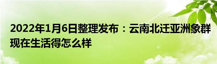 2022年1月6日整理發(fā)布：云南北遷亞洲象群現(xiàn)在生活得怎么樣