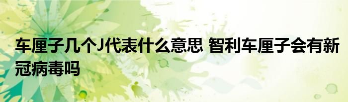 車?yán)遄訋讉€(gè)J代表什么意思 智利車?yán)遄訒?huì)有新冠病毒嗎