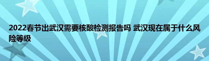 2022春節(jié)出武漢需要核酸檢測(cè)報(bào)告嗎 武漢現(xiàn)在屬于什么風(fēng)險(xiǎn)等級(jí)