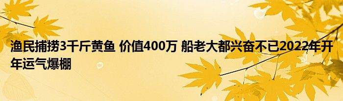 漁民捕撈3千斤黃魚 價(jià)值400萬(wàn) 船老大都興奮不已2022年開年運(yùn)氣爆棚