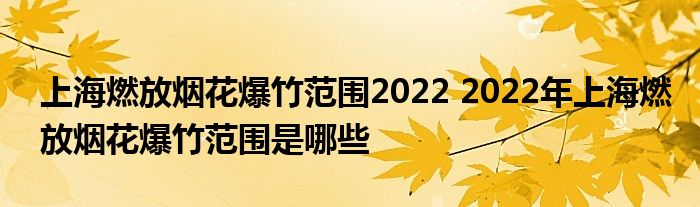 上海燃放煙花爆竹范圍2022 2022年上海燃放煙花爆竹范圍是哪些