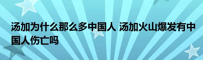 湯加為什么那么多中國(guó)人 湯加火山爆發(fā)有中國(guó)人傷亡嗎