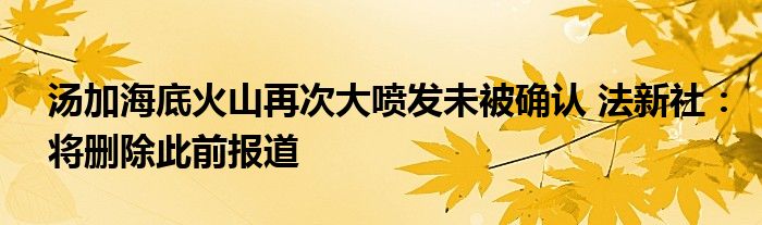 湯加海底火山再次大噴發(fā)未被確認(rèn) 法新社：將刪除此前報(bào)道