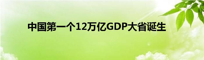 中國第一個12萬億GDP大省誕生