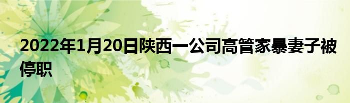 2022年1月20日陜西一公司高管家暴妻子被停職