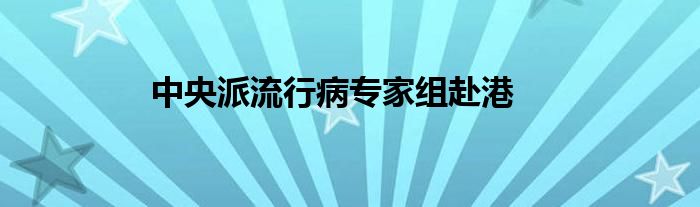 中央派流行病專家組赴港