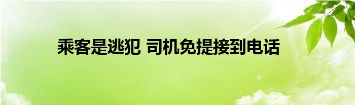 乘客是逃犯 司機(jī)免提接到電話