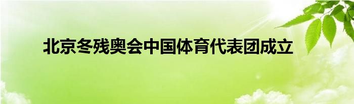 北京冬殘奧會(huì)中國(guó)體育代表團(tuán)成立