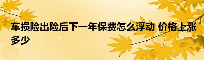 車損險出險后下一年保費怎么浮動 價格上漲多少