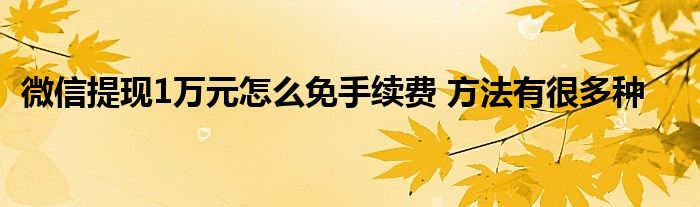 微信提現(xiàn)1萬(wàn)元怎么免手續(xù)費(fèi) 方法有很多種