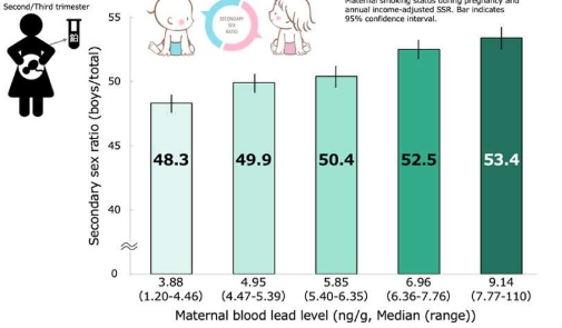 母體鉛暴露與后代性別比例相關(guān)