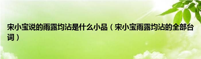 宋小寶說的雨露均沾是什么小品（宋小寶雨露均沾的全部臺(tái)詞）