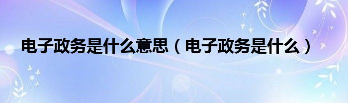 電子政務(wù)是什么意思（電子政務(wù)是什么）