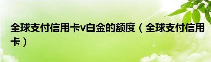 全球支付信用卡v白金的額度（全球支付信用卡）