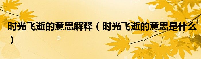 時(shí)光飛逝的意思解釋（時(shí)光飛逝的意思是什么）