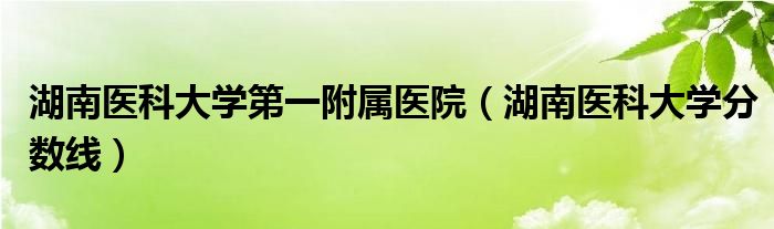 湖南醫(yī)科大學(xué)第一附屬醫(yī)院（湖南醫(yī)科大學(xué)分?jǐn)?shù)線）