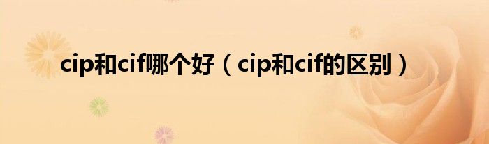 cip和cif哪個好（cip和cif的區(qū)別）