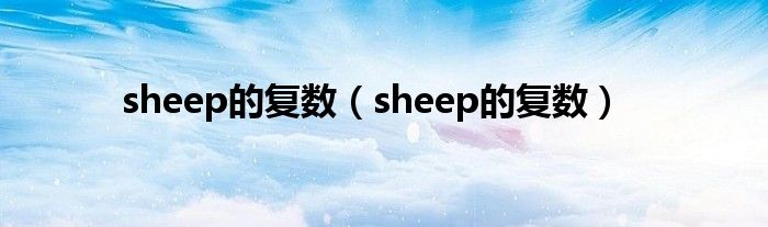 sheep的復(fù)數(shù)（sheep的復(fù)數(shù)）