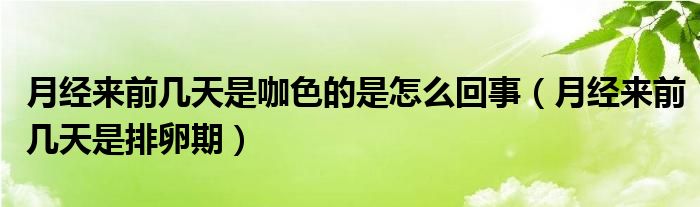 月經(jīng)來前幾天是咖色的是怎么回事（月經(jīng)來前幾天是排卵期）