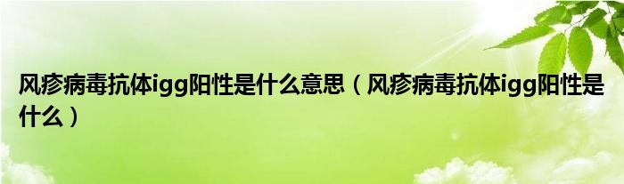 風(fēng)疹病毒抗體igg陽(yáng)性是什么意思（風(fēng)疹病毒抗體igg陽(yáng)性是什么）