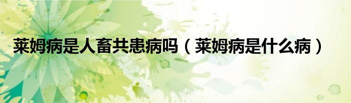 萊姆病是人畜共患病嗎（萊姆病是什么?。?class='thumb lazy' /></a>
		    <header>
		<h2><a  href=