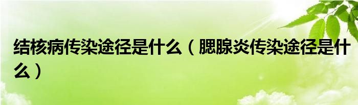 結(jié)核病傳染途徑是什么（腮腺炎傳染途徑是什么）