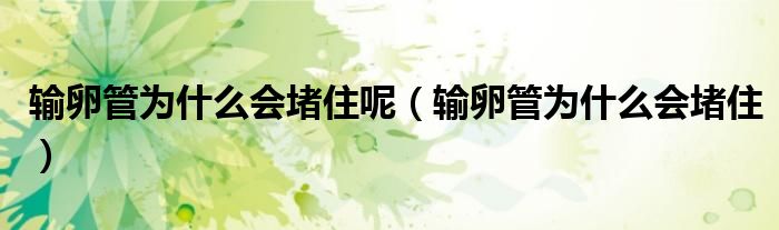 輸卵管為什么會(huì)堵住呢（輸卵管為什么會(huì)堵?。?class='thumb lazy' /></a>
		    <header>
		<h2><a  href=