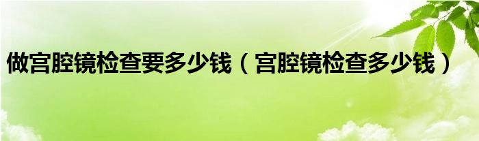 做宮腔鏡檢查要多少錢（宮腔鏡檢查多少錢）