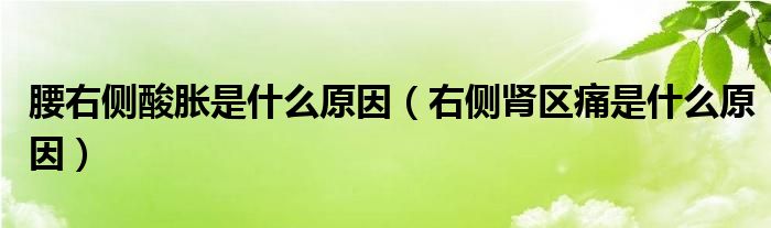 腰右側(cè)酸脹是什么原因（右側(cè)腎區(qū)痛是什么原因）