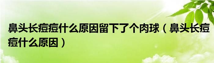 鼻頭長痘痘什么原因留下了個肉球（鼻頭長痘痘什么原因）