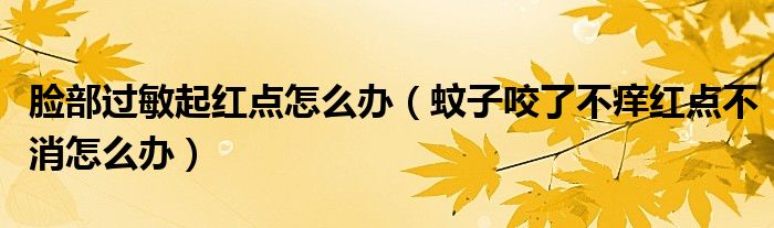 臉部過敏起紅點(diǎn)怎么辦（蚊子咬了不癢紅點(diǎn)不消怎么辦）