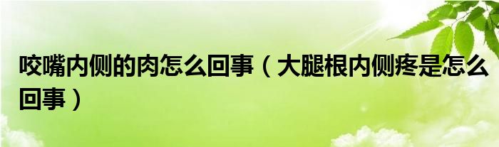 咬嘴內(nèi)側(cè)的肉怎么回事（大腿根內(nèi)側(cè)疼是怎么回事）