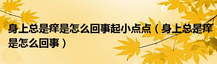 身上總是癢是怎么回事起小點點（身上總是癢是怎么回事）