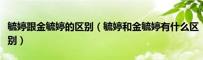 毓婷跟金毓婷的區(qū)別（毓婷和金毓婷有什么區(qū)別）