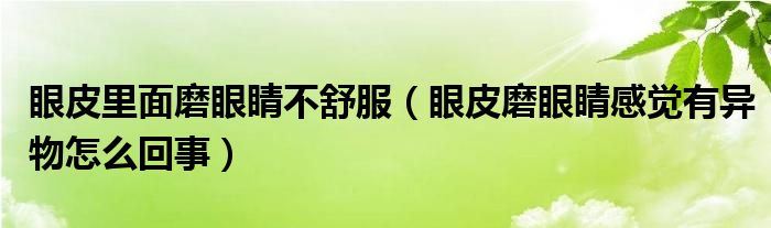 眼皮里面磨眼睛不舒服（眼皮磨眼睛感覺有異物怎么回事）