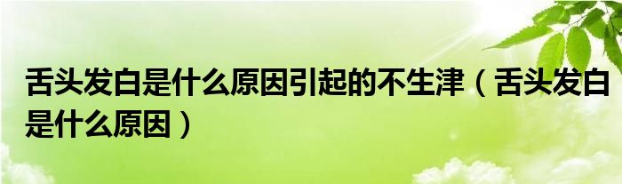 舌頭發(fā)白是什么原因引起的不生津（舌頭發(fā)白是什么原因）