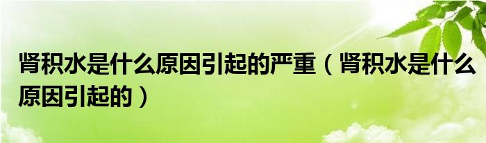 腎積水是什么原因引起的嚴重（腎積水是什么原因引起的）