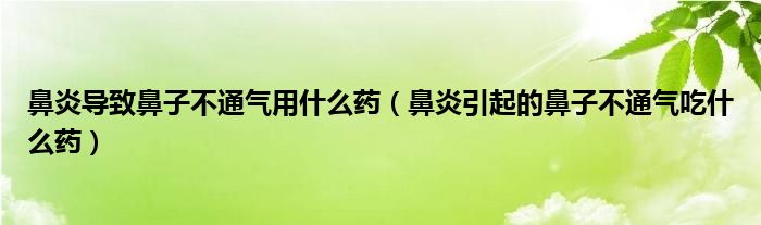 鼻炎導致鼻子不通氣用什么藥（鼻炎引起的鼻子不通氣吃什么藥）