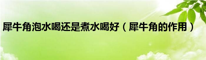 犀牛角泡水喝還是煮水喝好（犀牛角的作用）