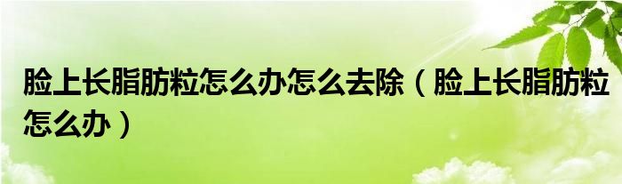 臉上長脂肪粒怎么辦怎么去除（臉上長脂肪粒怎么辦）