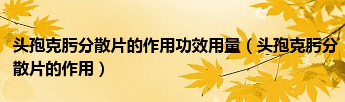 頭孢克肟分散片的作用功效用量（頭孢克肟分散片的作用）