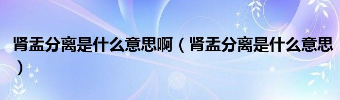 腎盂分離是什么意思?。I盂分離是什么意思）